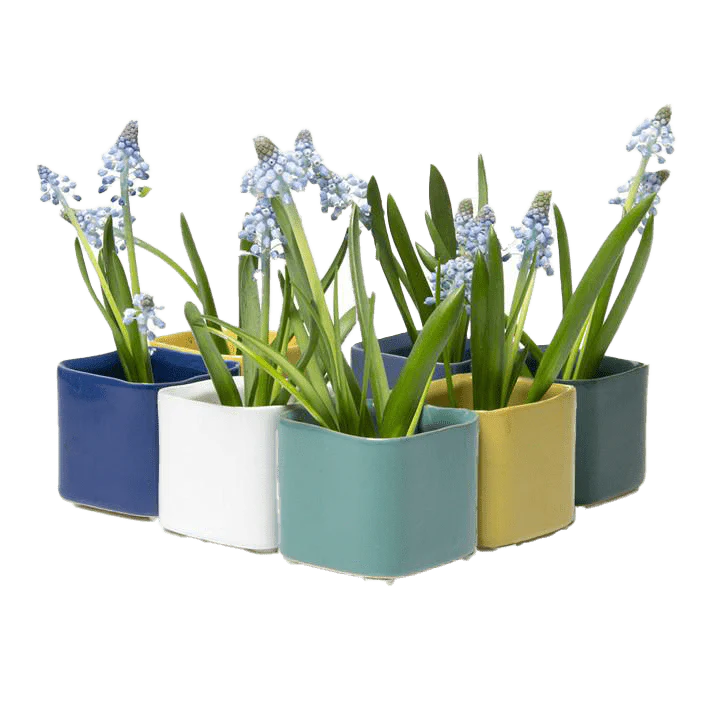Svek Ceramic Indoor Succulent Pot - Image 33