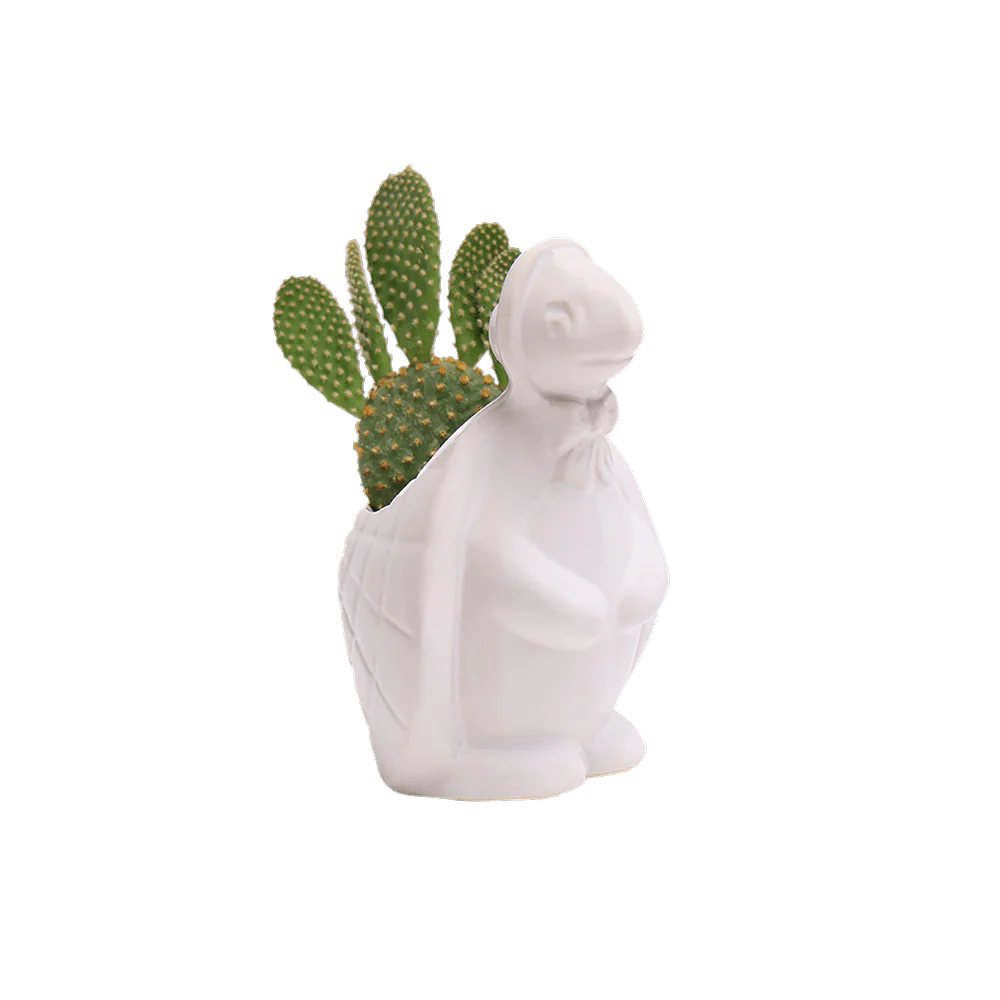 Turtle Ceramic Indoor Plant Pot For Succulents - Image 19