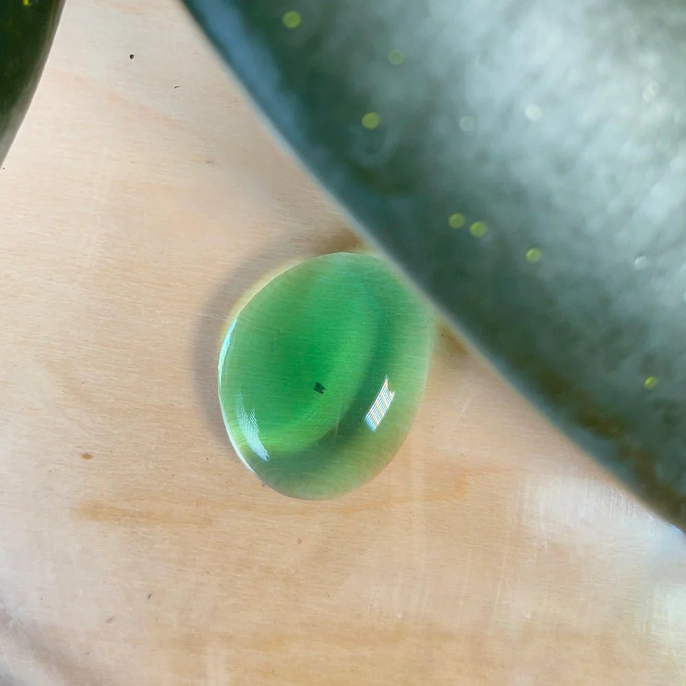 Verte Rx Let's Propagate Plant Propagator - Image 3