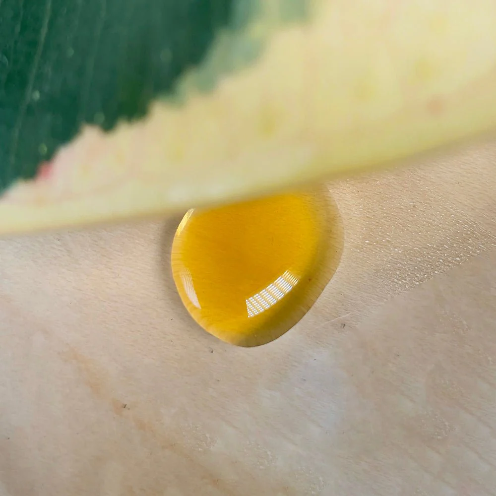 Verte Rx Organic Funky Fish Plant Food - Image 3