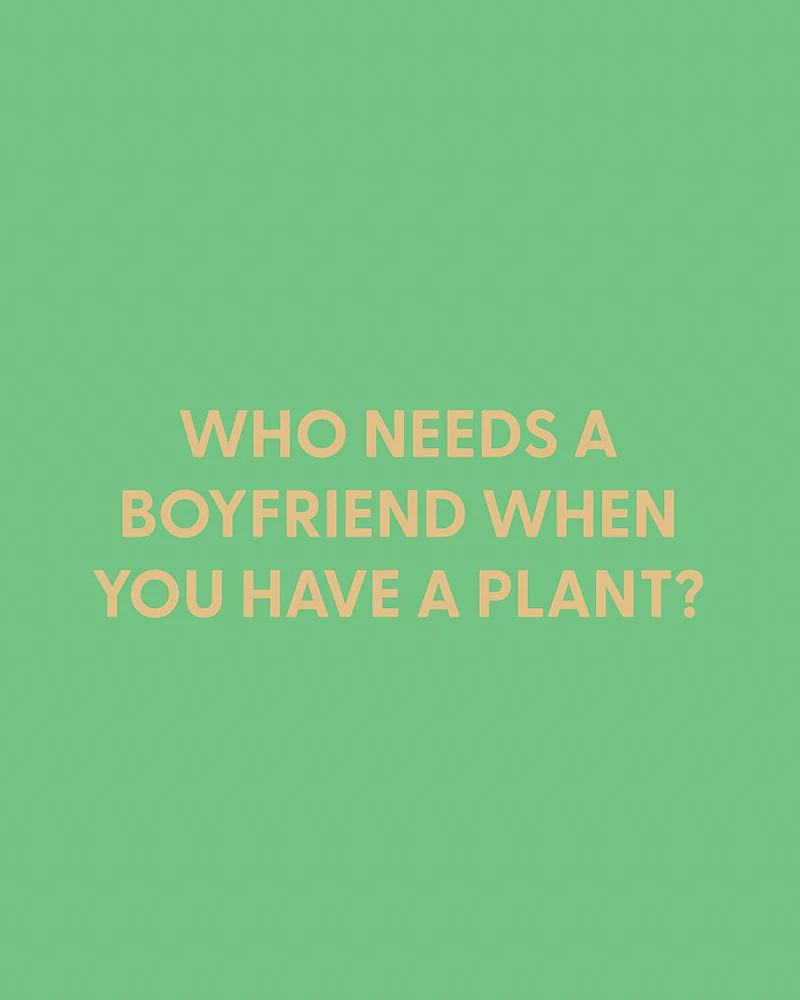 Who needs a boyfriend when you have a plant? - Greeting Card